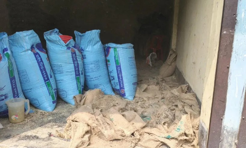 সরকারি চালে ইঁদুর-পোকার বসবাস, পচন ধরেছে ১৫০০ কেজিতে